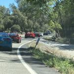 OTRA_2024_norris_021 (May 24, 2024)